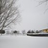 la grande nevicata del febbraio 2012 143